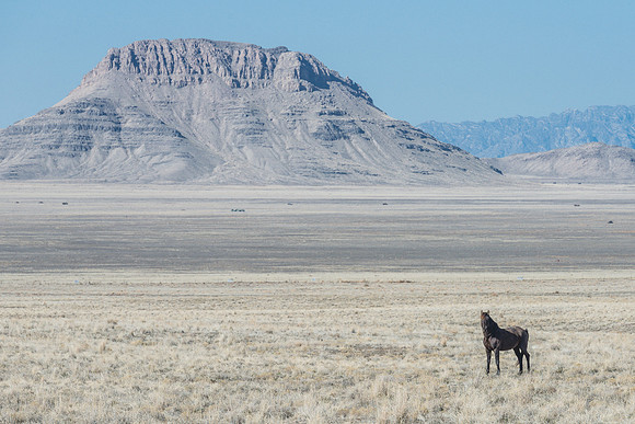 Desert Butte