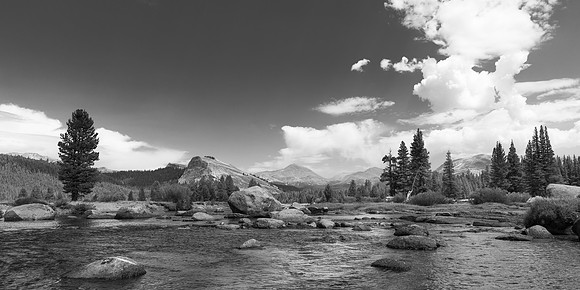 Tuolumne Meadow