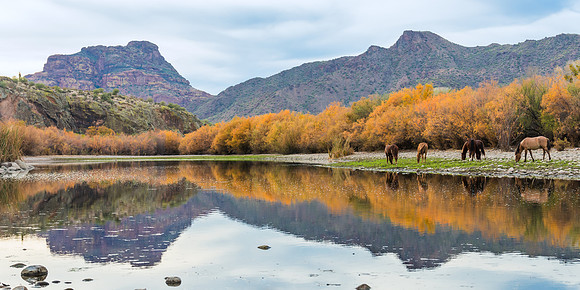 Reflections on the Salt River