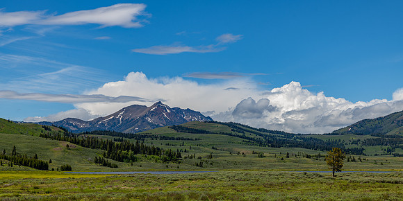 Springtime at Electric Peak