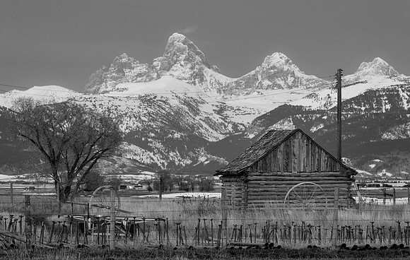 Teton Valley Shed by Moonlight