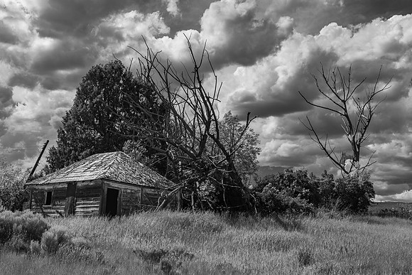 Abandoned in Chesterfield