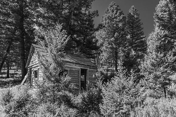 Ragtown's Russels Cabin