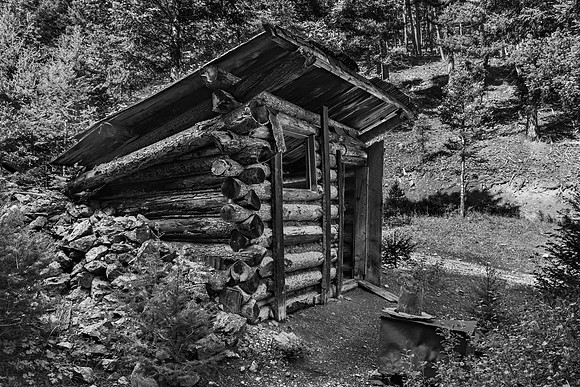 Shorty's Shack